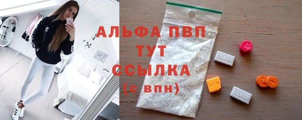 соль ск Инсар