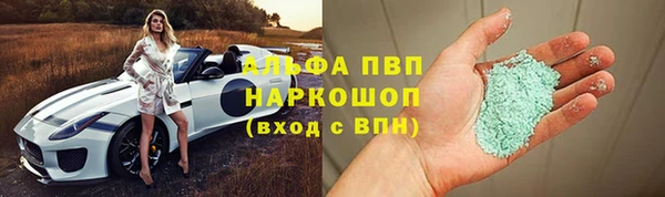 молекула духа Каменка