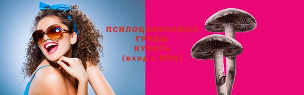 прущая мука Каменск-Шахтинский