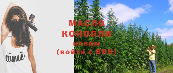 молекула духа Каменка