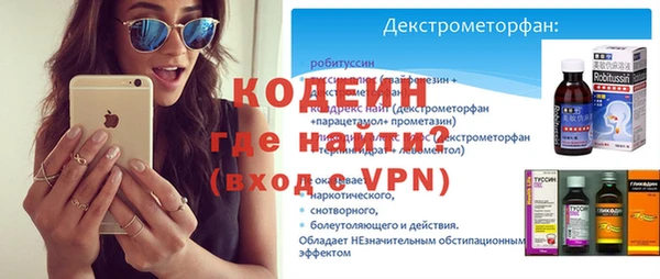 молекула духа Каменка