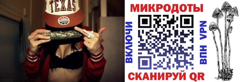 Галлюциногенные грибы прущие грибы  Краснодар 