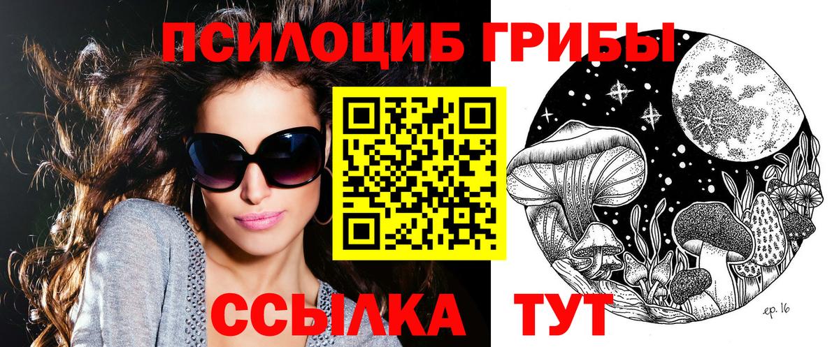 Галлюциногенные грибы Psilocybe  Псилоцибиновые грибы ЛСД  закладки  Краснодар 