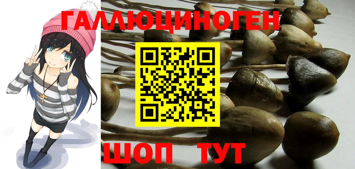Краснодар  Псилоцибиновые грибы Magic Shrooms  закладки  Вход с VPN  Галлюциногенные грибы мухоморы 