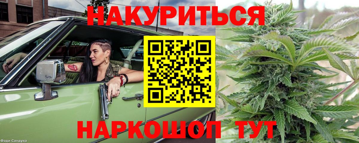 Марихуана сатива  Шишки марихуана планчик  Краснодар 